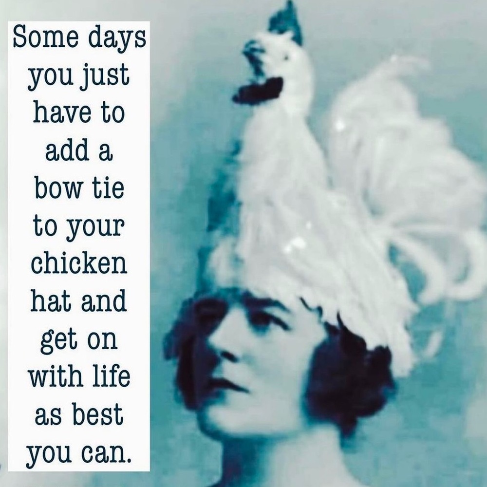 Chickens Can’t Fly, But We Can🌈Walk the Walk, Feather Those Wings~It’s A Journey